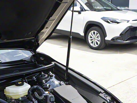 2026�� ˫�� 2.5HXS �˶�Plus��