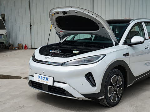 2026�� DM-i 220�캽��