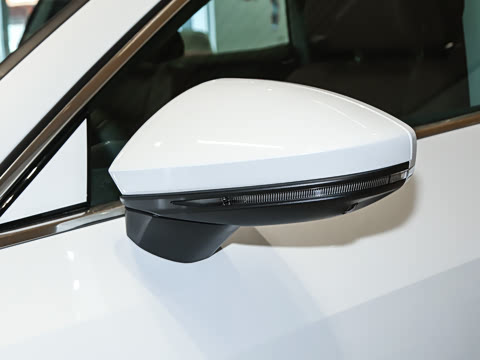 2025�� 45 TFSI quattro ������