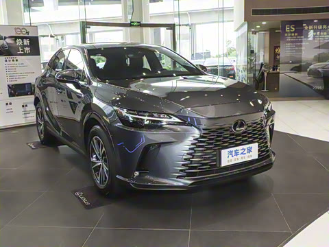 2025�� 300 ����������