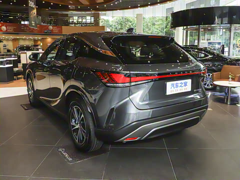 2025�� 300 ����������