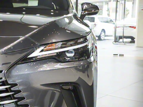 2025�� 300 ����������