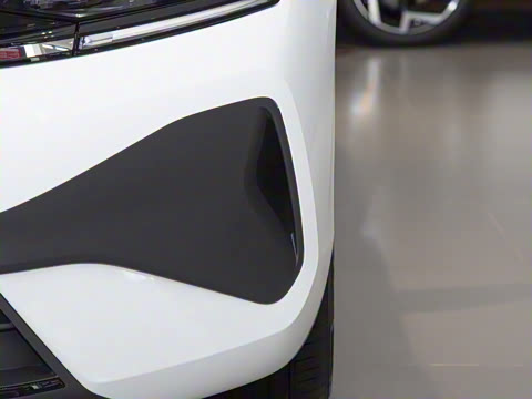 2026�� L 300TSI DSG ʱ����