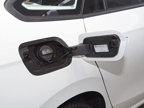 2026�� L 300TSI DSG ʱ����