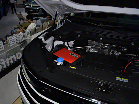 2025�� 380TSI ����R-LineѲ�� ������