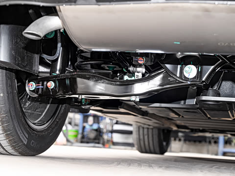 2025�� DM-i 205�캽Pro��