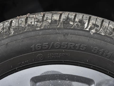 2026�� 305km ������