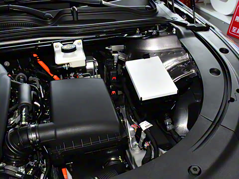 2026�� �����������̰� 310������