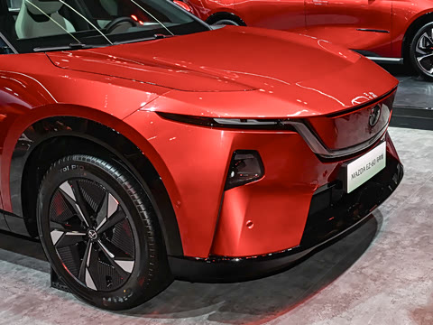 2026�� ����600 �����