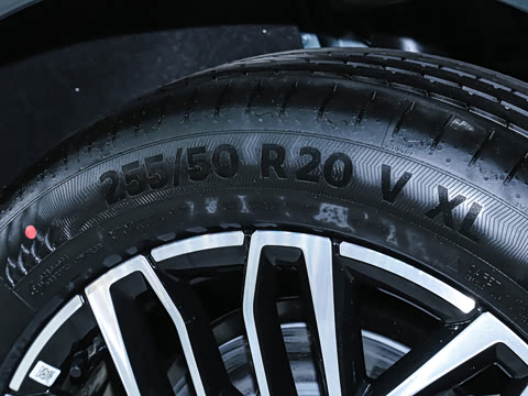 2026�� ���� ����Max��