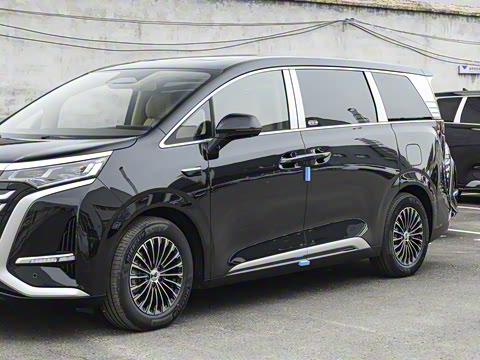 2025�� DM-i ��������