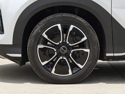 2026�� DM-i 305�캽��