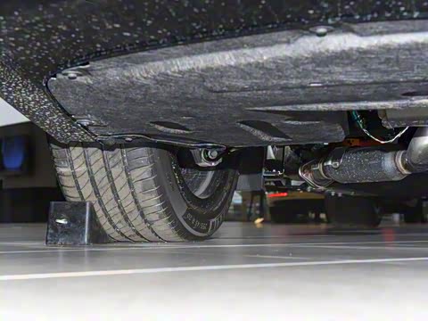 2025�� ���� Max��������