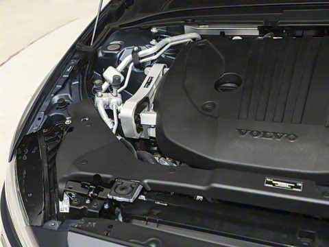 2026�� B5 �����˶���