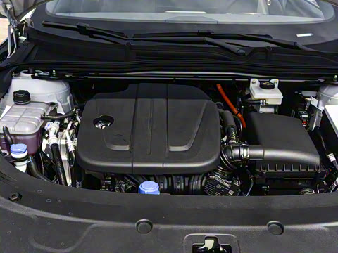 2026�� �����������̰� 310������