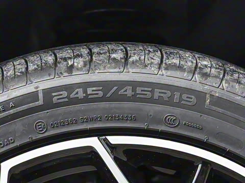 2026�� �����������̰� 310������