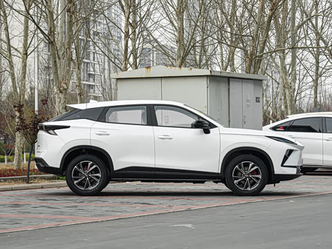 2026�� �˶������