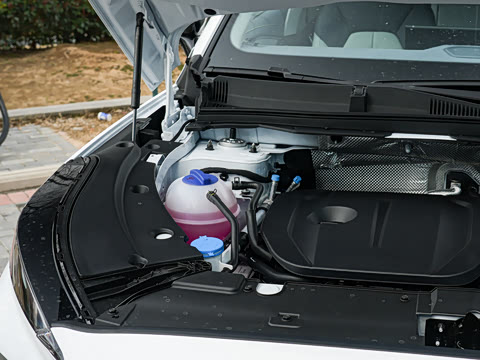 2026�� �˶������