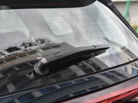 2025�� 290T ��������+