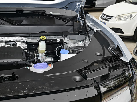 2025�� 205�������ܰ�