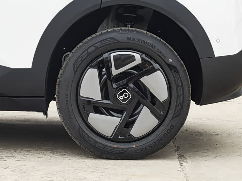 2026�� 310������