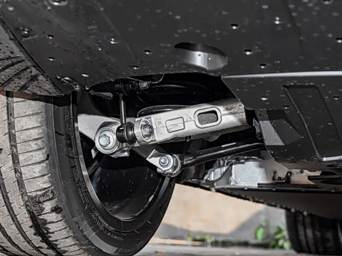 2026�� ����600 Max�˶���