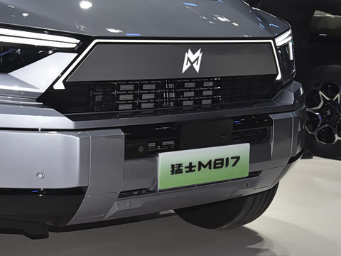 2025�� Max