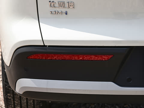 2026�� DM-i 220KM��Խ��