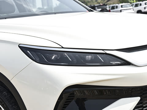 2026�� DM-i 220KM��Խ��