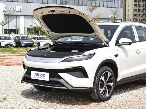 2026�� DM-i 220KM��Խ��