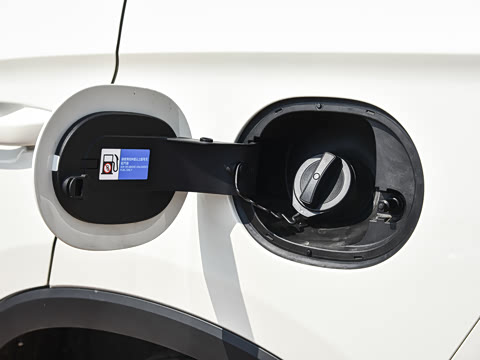 2026�� DM-i 220KM��Խ��