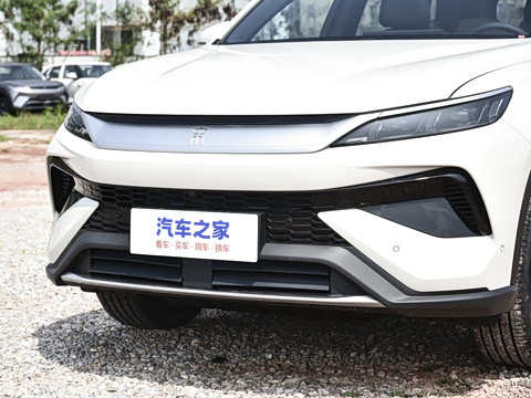 2026�� DM-i 220KM��Խ��