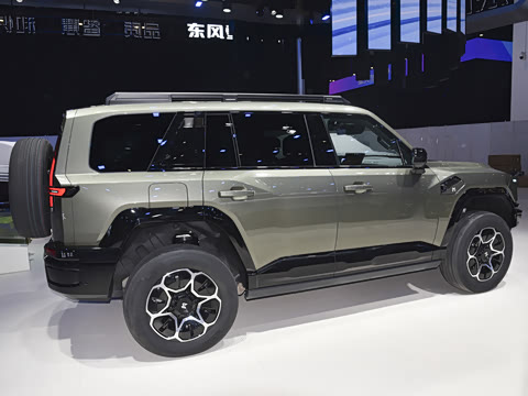 2025�� Pro