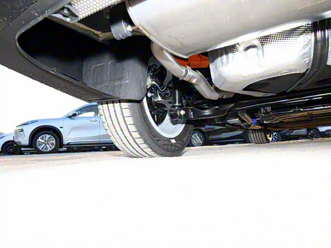 2026�� 125kmԶ����