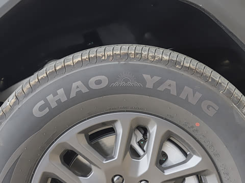 2025�� ̽Ұ�� 5��