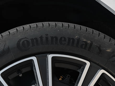 2025�� ������