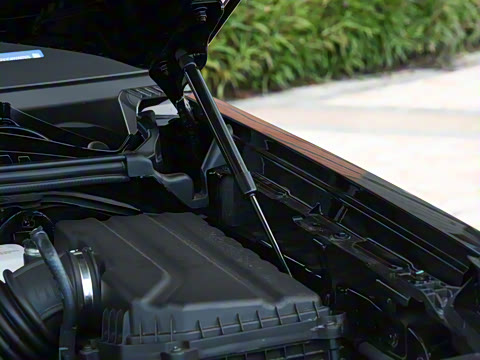 2025�� ������