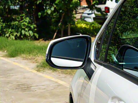 2026�� 2.5L�춯 ������