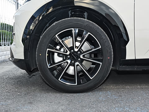 2026�� Max������