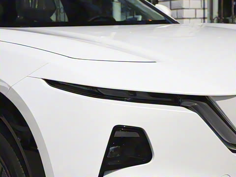 2025�� ����600 Pro