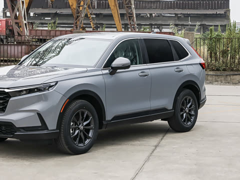 2026�� ȫ��30����ҫ�� 1.5T ��������5����
