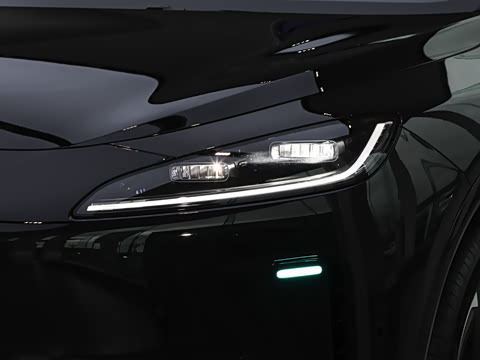 2025�� ���� Max