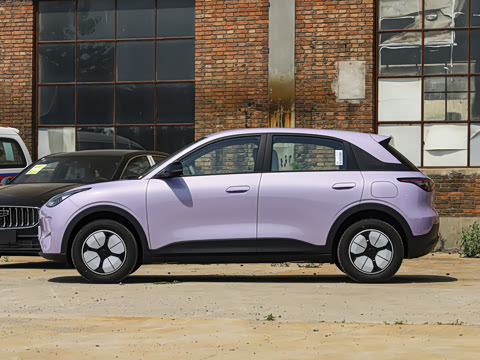 2026�� 310km ������