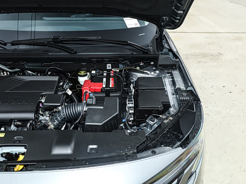 2026�� 1.6L CVT �Ƽ���