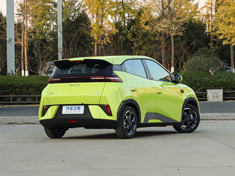 2025�� �Ǽݰ� 305km ���ɰ�