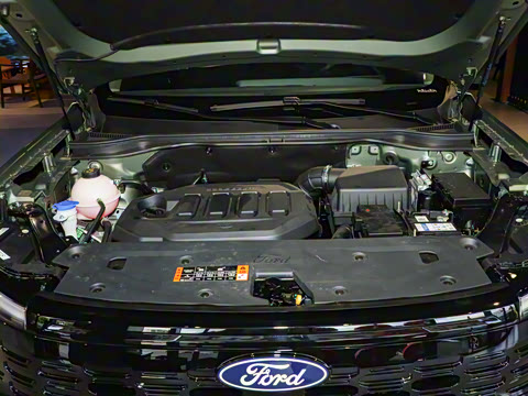 2025�� EcoBoost 170 ������