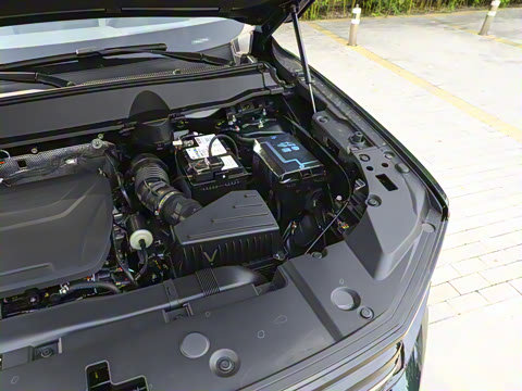 2026�� 1.5T ��Ȥ��