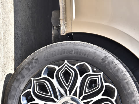 2023�� ��ʨϵ�� 2.0T �� 7��