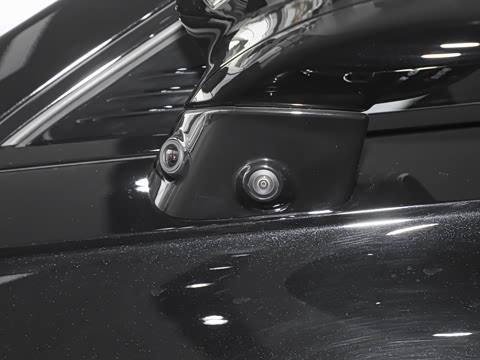 2025�� ���� 265 Max��������������ʻ