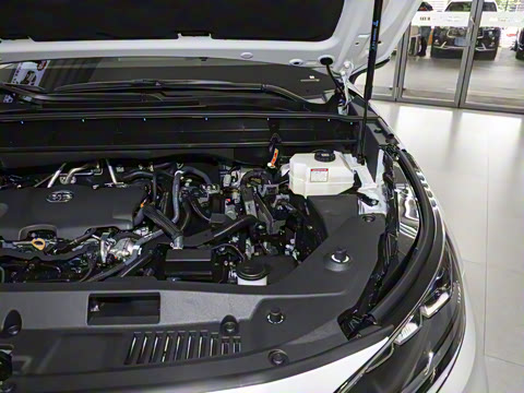 2026�� 2.5L���ܵ��˫��������Ӣ�� 5��